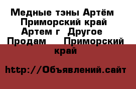 Медные тэны Артём - Приморский край, Артем г. Другое » Продам   . Приморский край